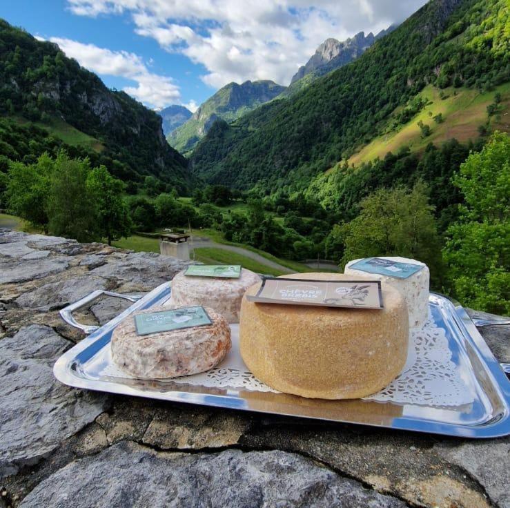 Chateau D'Arance Hotel Restaurant Espace Bien-Etre Cette-Eygun Buitenkant foto
